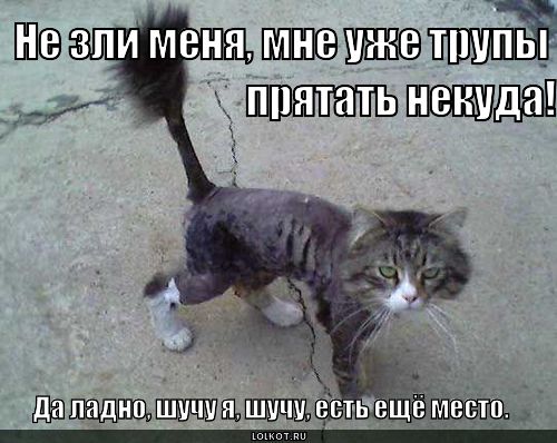 Сходил в дорогой ресторан