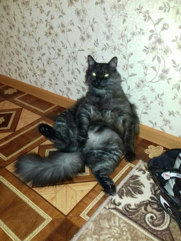 Подборка разного из сети.