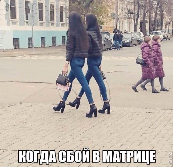 Подборка безудержного веселья