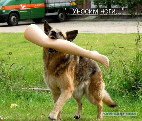 Подборка интересных и веселых картинок