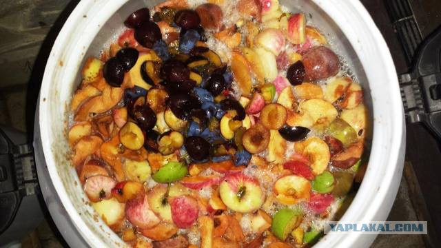 Фруктовая бражка. Бражка из яблок для самогона. Бражка. Фруктовая брага. Фрукты для самогона.