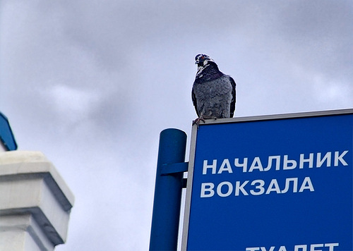 Пост гордости человеком