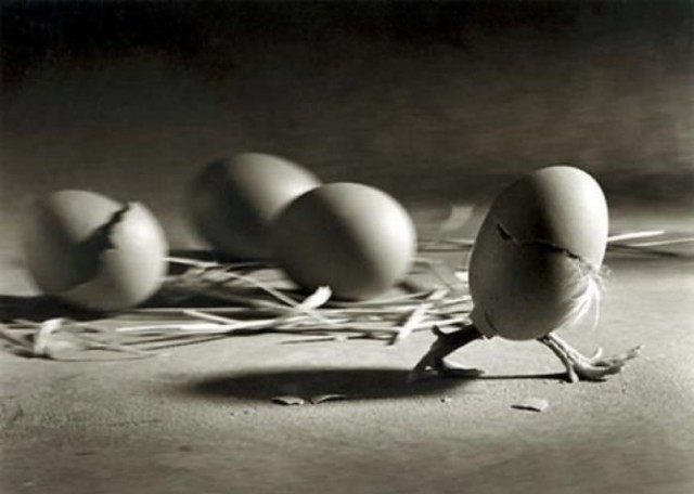 Наркоманских анекдотов с картинками