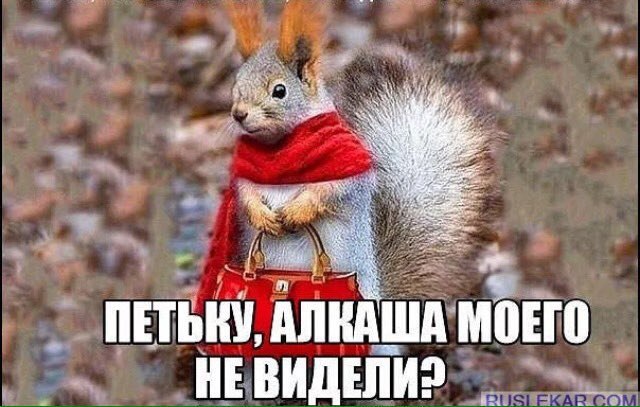 Итоги проверки пользователей