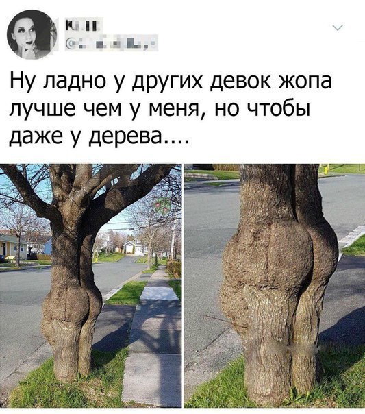 Весёлые картинки