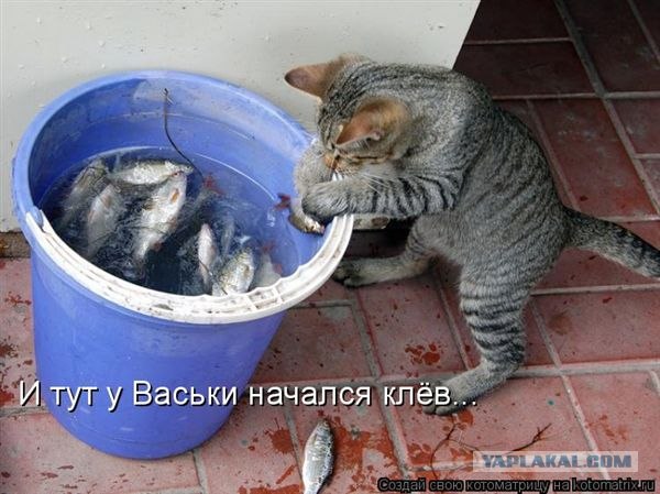 Два рыболова.