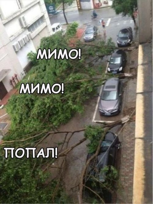 Анекдоты, соц-сети и картинки с надписями