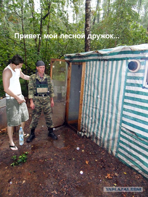 Человек, который живет в лесу и делает сайты.