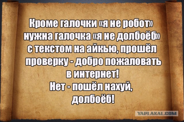 Бредзона 03.03.2020