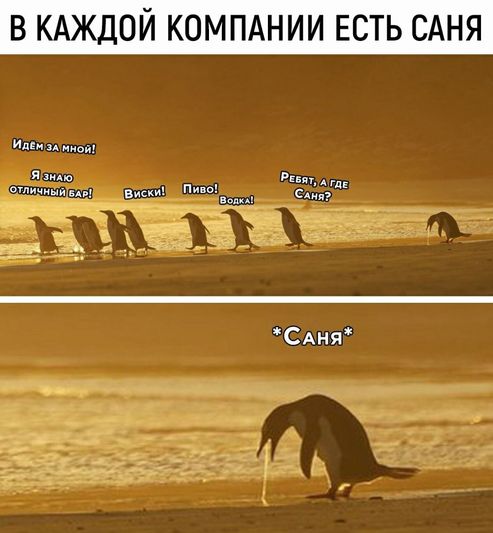 Всё не зря