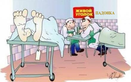 Пикчеслив из ваших интернетов 22.10.2020
