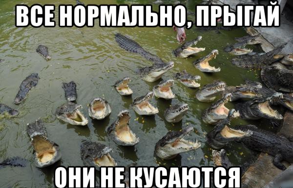 Поставил палатку в удачном месте