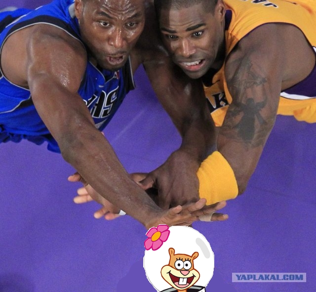 Ну очень жабельная фотография!