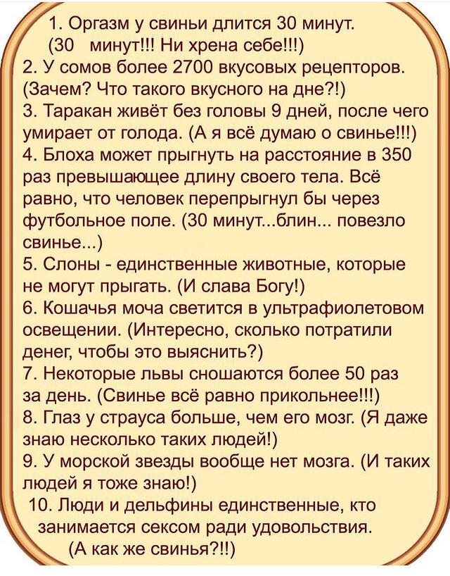 Картинки и мемы для настроения 15.03.2021