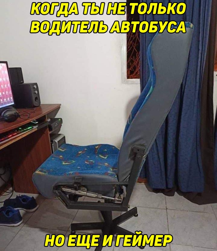 15387221.jpg