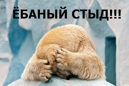 Половой ликбез. Контрацепция