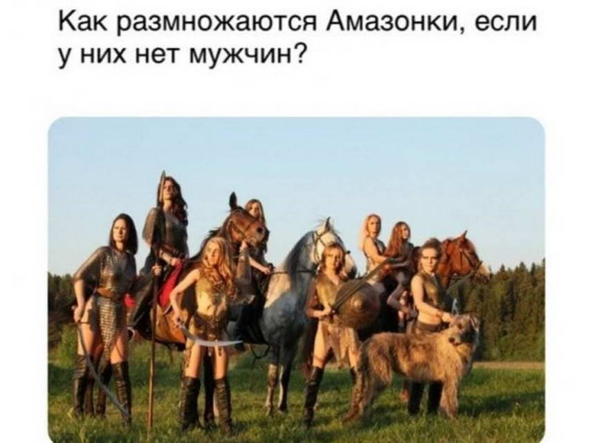 15583221.jpg