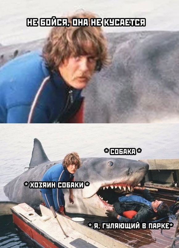 Весёлый полтишок 12.06