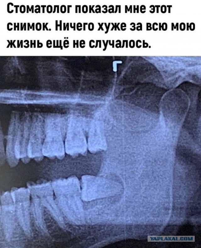 Кретинизмы из сети 17.07.21