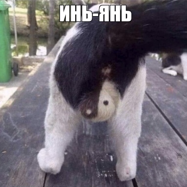 Так себе картинки 20.08.21
