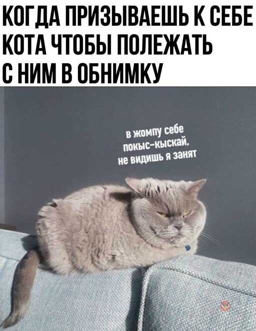 Баянисто-небаянистый юмор. 13.09.21