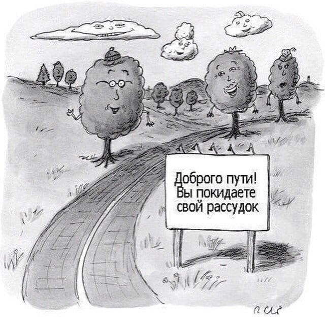 Картинки-не картинки. Смешные-не смешные