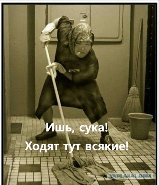Стой, окаянной, кудой по мытому?!