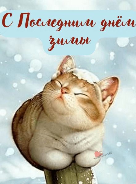 Снимаем маски, одеваем каски