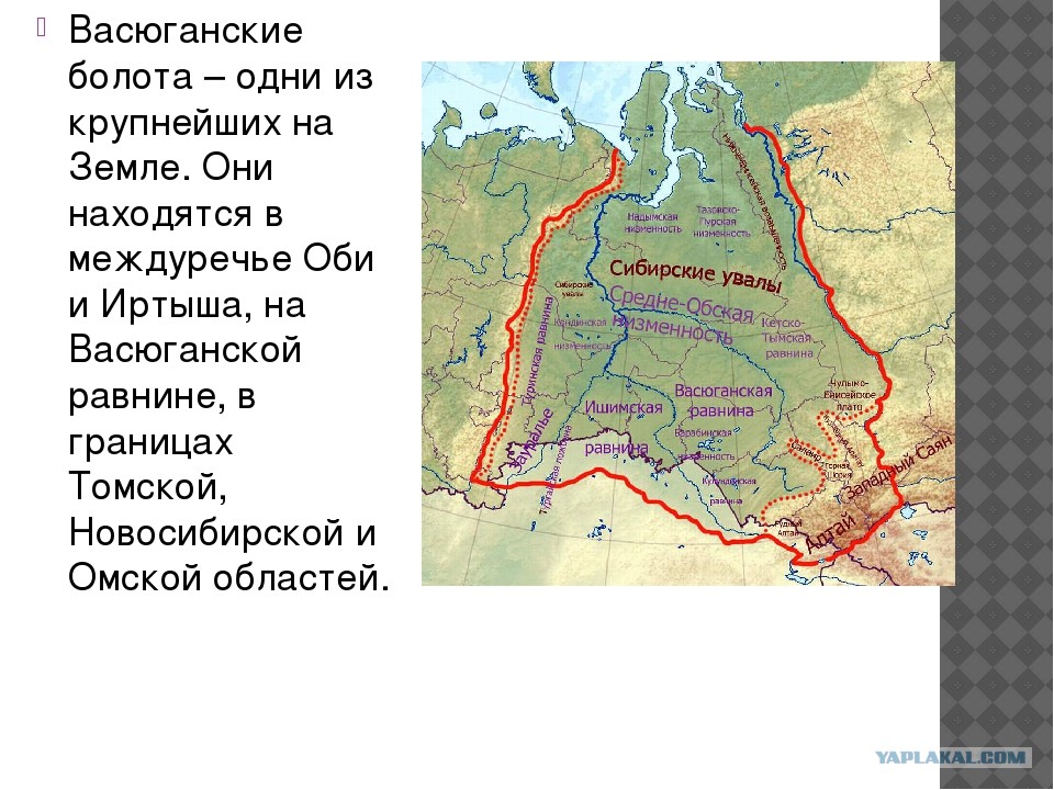 Крупнейшие города западной сибири расположены. Западно-Сибирская низменность границы на карте. Сибирь Западно Сибирская равнина на карте. Границы Западно сибирской равнины на карте. Васюганская низменность на карте Западной Сибири.