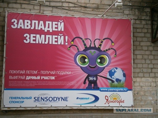 Ровно 1 год как я живу в казачей столице