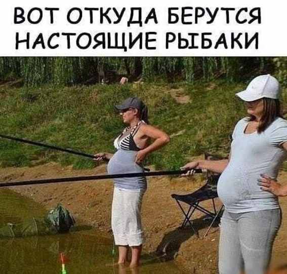 И вновь среда, дорогие деграданты