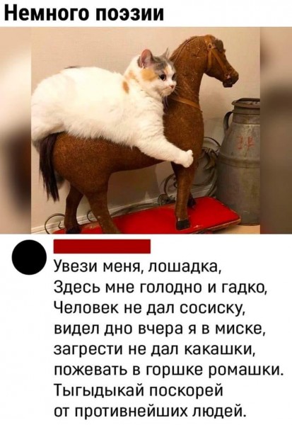 Пятница. Вечер. Картинки всякие #12