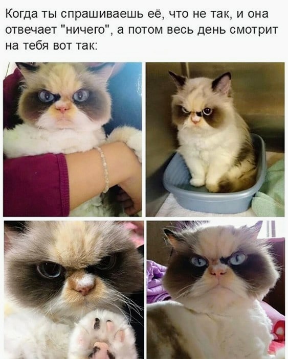 Немного картинок для настроения - 119