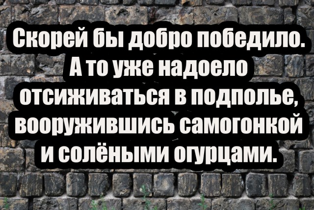 Картинки и мемы для настроения - 107