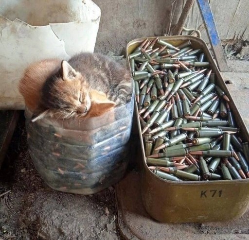 Басмач и прапорщик