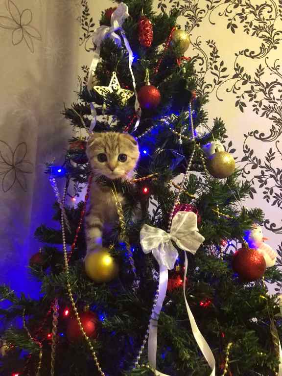 Новогодняя игрушка