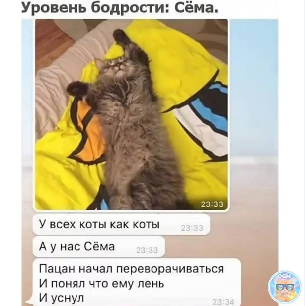 Картинки и мемы, выходные продолжаются