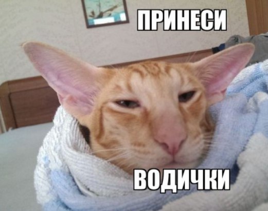 Приколы (баяны)