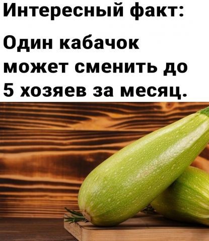 В Москве госпитализировали режиссера с кабачком в прямой кишке