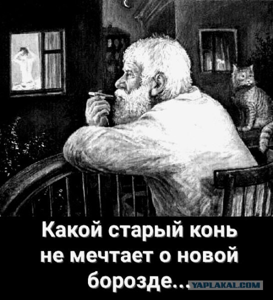 Бабы уже не те что раньше, эхх.