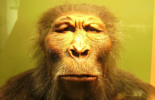 Кто воевал на стороне Гитлера