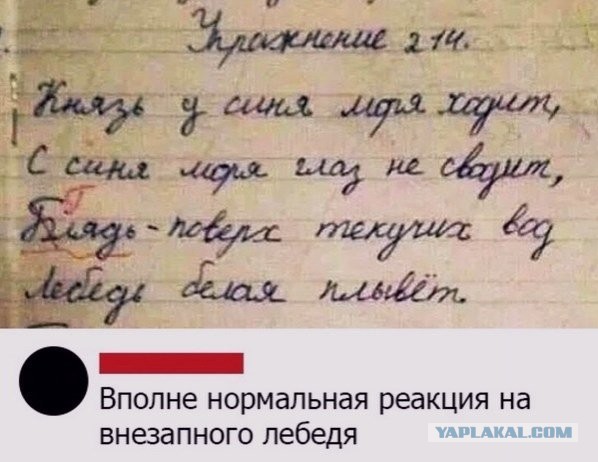 Веселые картинки в последний рабочий день уходящего года (28.12)
