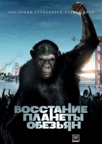 Сообразительная обезьянка