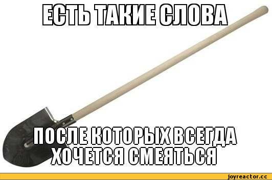 пара анекдотов