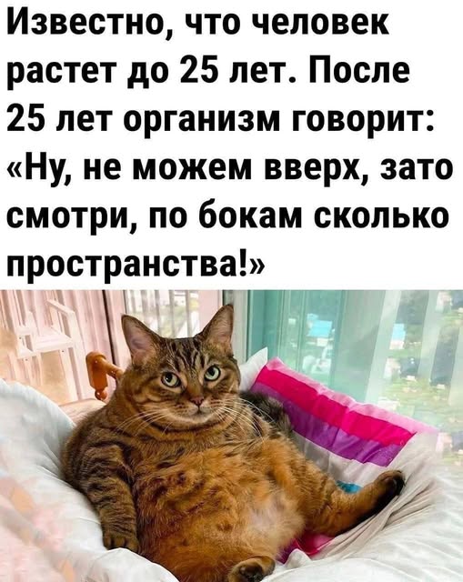 20862221.jpg