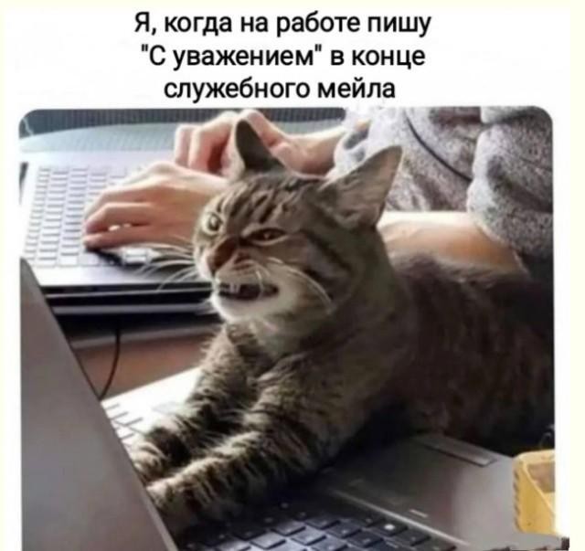 Первая суббота лета