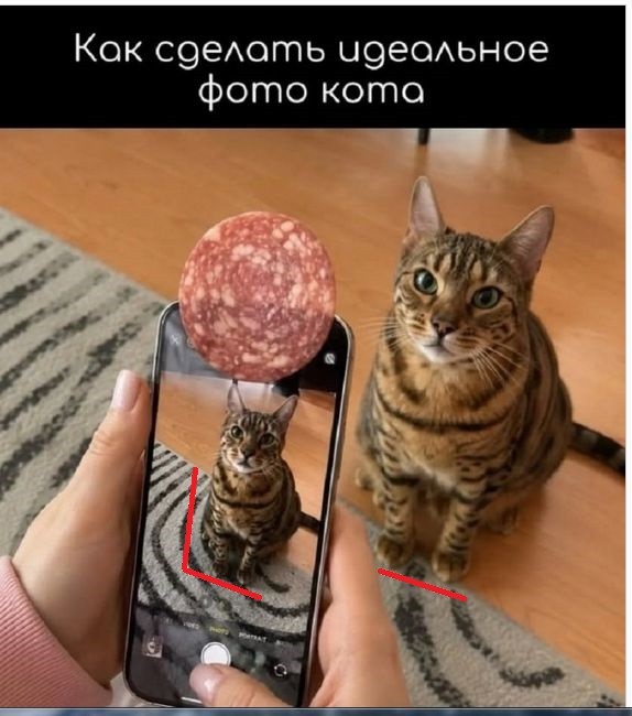Так себе картинки 21.06.26