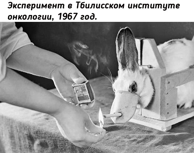 Отличная новость
