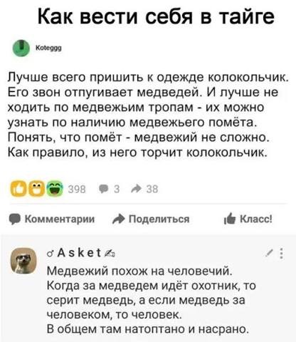Что будет с вами,при случайной встрече в лесу с бурым медведем.
