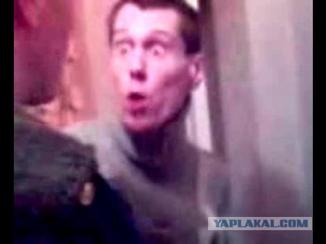 Визуализируем свои ники!